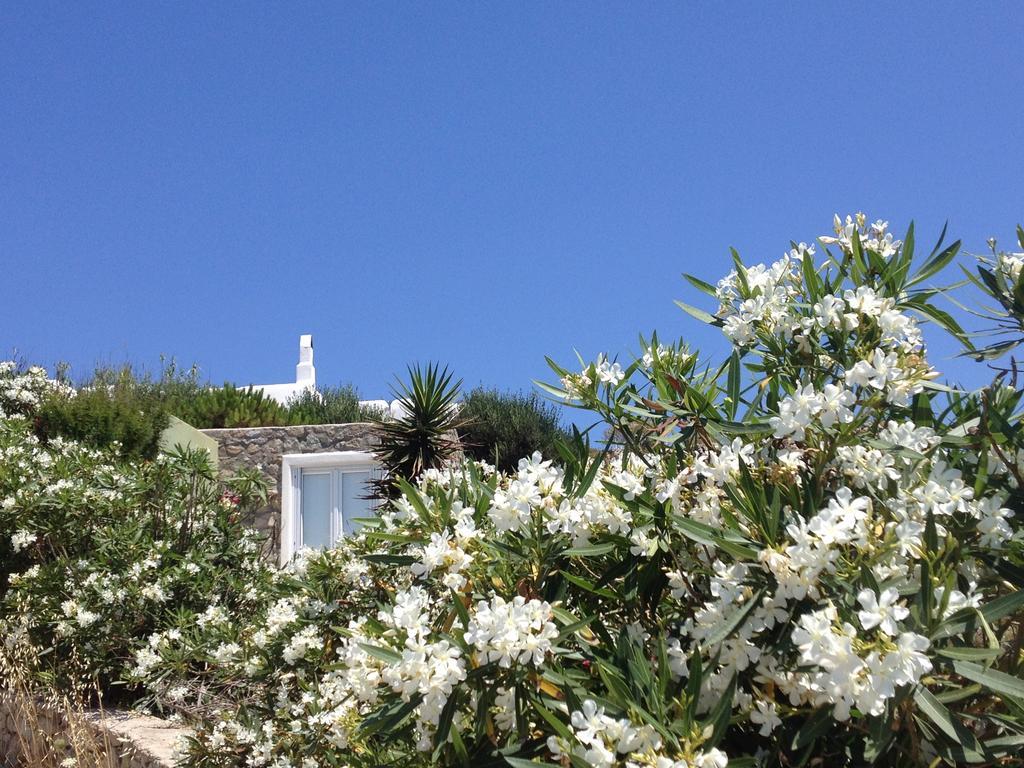 Mykonos Love Nest أنو ميرا الغرفة الصورة